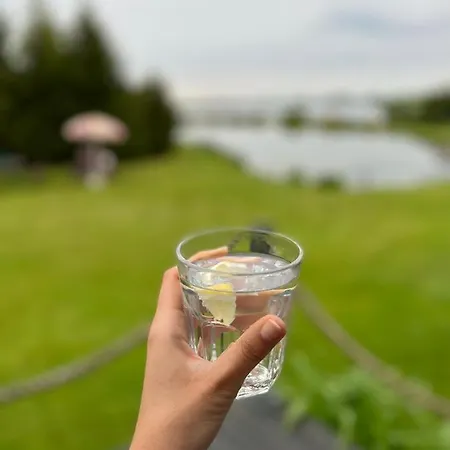 Дом отдыха Letniskowe Pola Рын